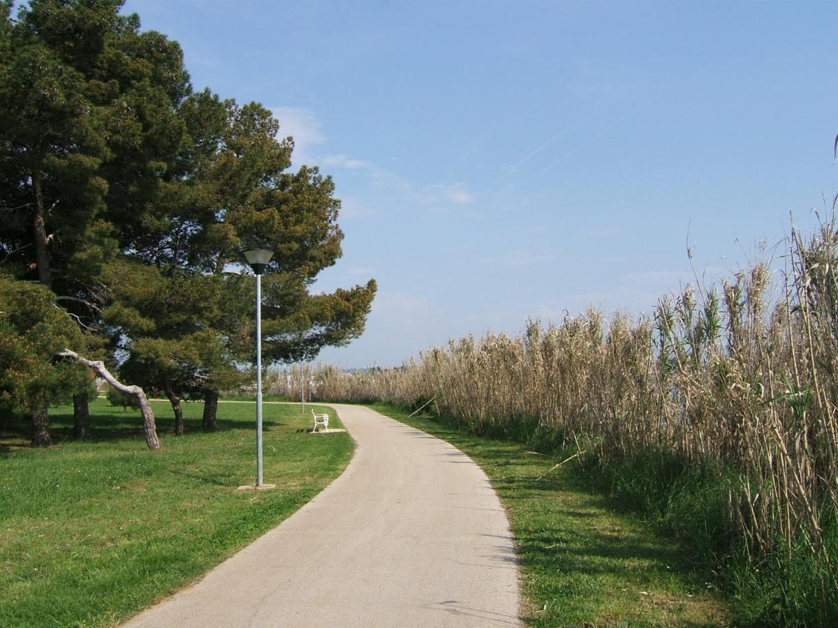 Gianna 2, 600 M From The *